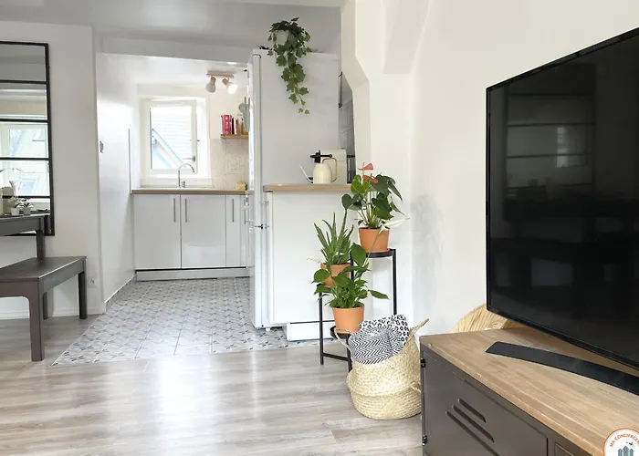 Apartment Le Saint Maclou - Rue Martainville - Duplex *