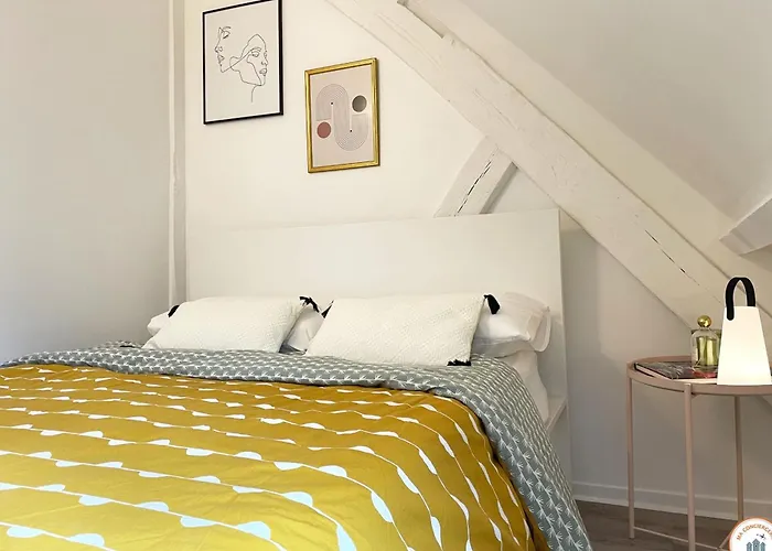 Le Saint Maclou - Rue Martainville - Duplex Apartment Rouen